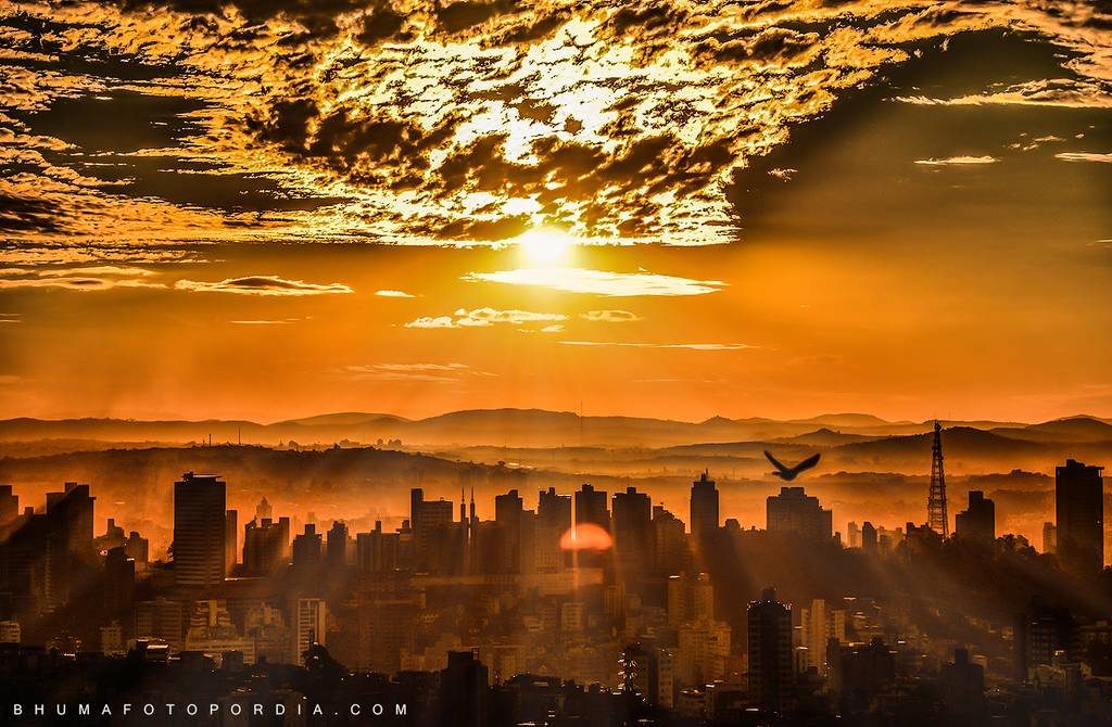 Foto de Paisagem passaro nuvens por do sol Golden Hour Charles Torres