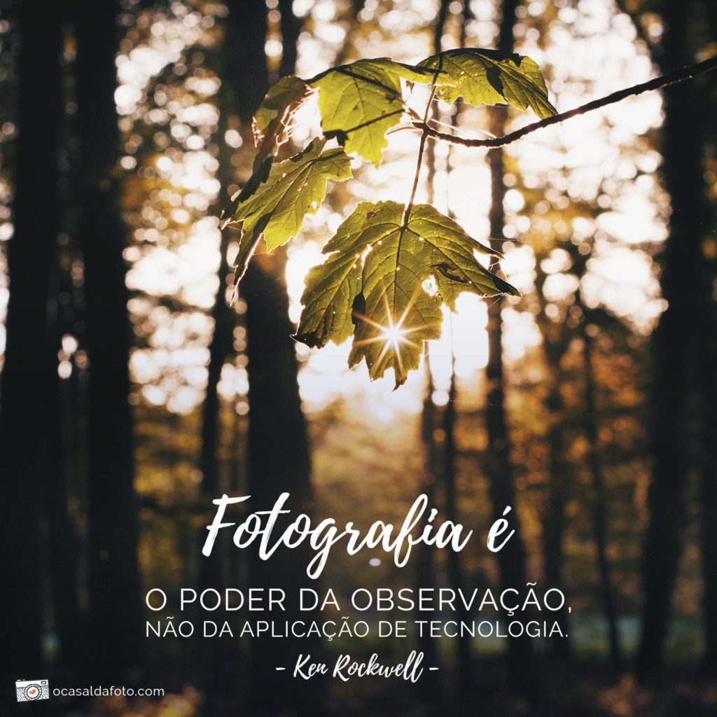 frases sobre fotografia - fotografia e poder de observacao nao aplicacao tecnologia - ken rockwell