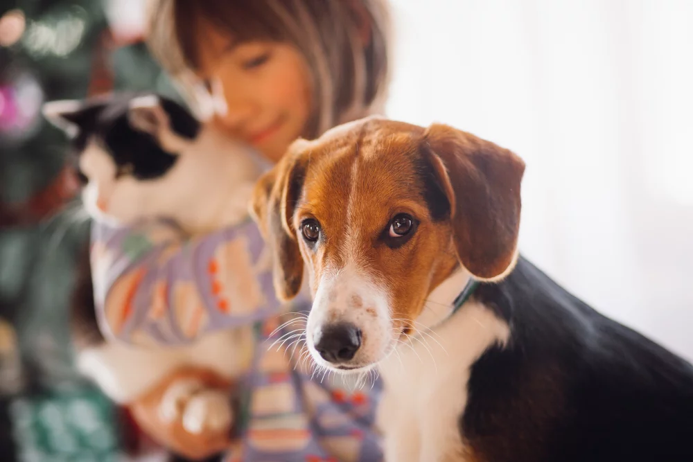 Fotografia de Pets: Dicas para Capturar Momentos Especiais